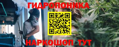 прущие крисы Тверь