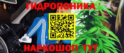 прущие крисы Тверь