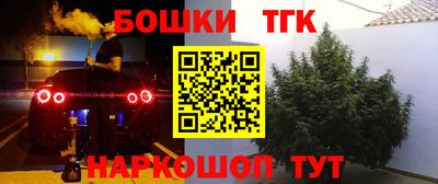 прущие крисы Тверь