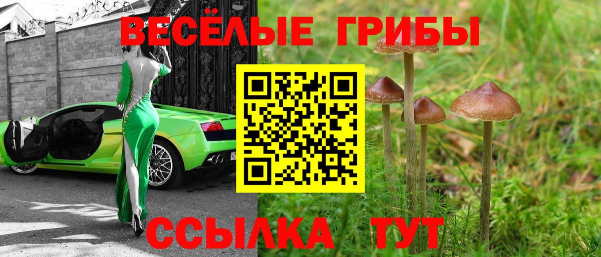 Псилоцибиновые грибы MAGIC MUSHROOMS Троицк