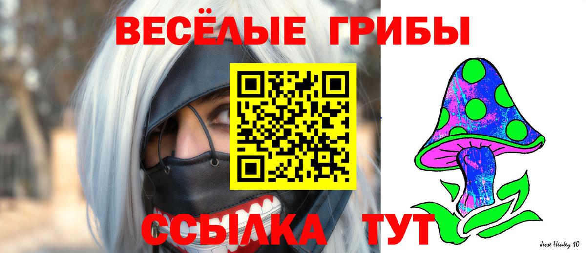 Троицк  наркотики  Вход с VPN  Псилоцибиновые грибы Cubensis  Псилоцибиновые грибы GOLDEN TEACHER 